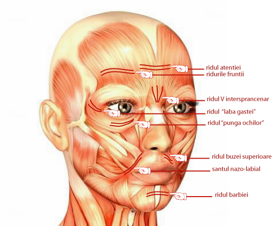 antrenează mușchii feței și gâtului împotriva ridurilor masca pentru ten iritat si acneic